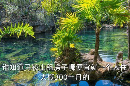 誰知道馬鞍山租房子哪便宜就一個人住大概300一月的