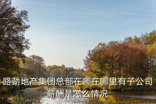 路勁地產集團總部在哪在哪里有子公司薪酬是怎么情況