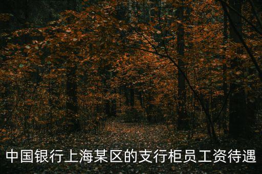 中國銀行上海市航華支行怎么樣，中國銀行上海某區的支行柜員工資待遇