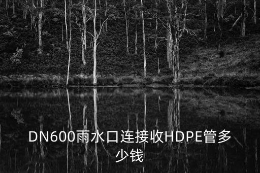 DN600雨水口連接收HDPE管多少錢