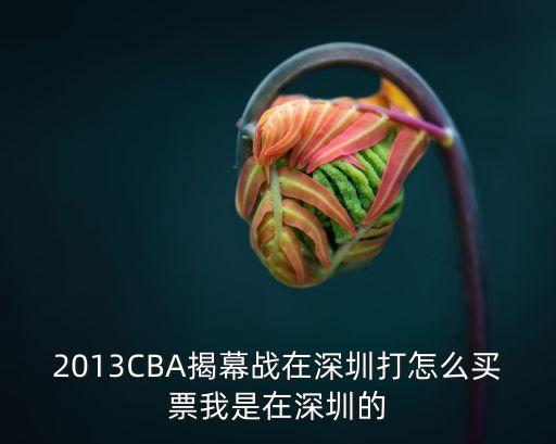 2013CBA揭幕戰在深圳打怎么買票我是在深圳的