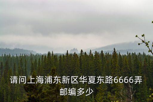 請問上海浦東新區(qū)華夏東路6666弄郵編多少