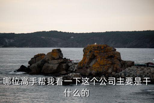 廣州軒轅網絡從事的服務領域，哪位高手幫我看一下這個公司主要是干什么的