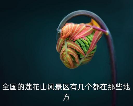廣州蓮花山風景區 景點，廣州蓮花山有什么可以玩