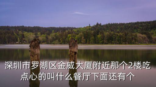 深圳市羅湖區金威大廈附近那個2樓吃點心的叫什么餐廳下面還有個