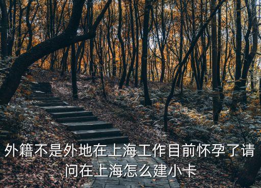 外籍不是外地在上海工作目前懷孕了請問在上海怎么建小卡