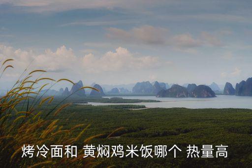 黃燜雞的熱量,一個大份黃燜雞的熱量