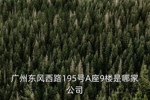 廣州東風西路195號A座9樓是哪家公司
