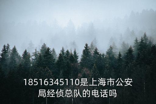 18516345110是上海市公安局經偵總隊的電話嗎