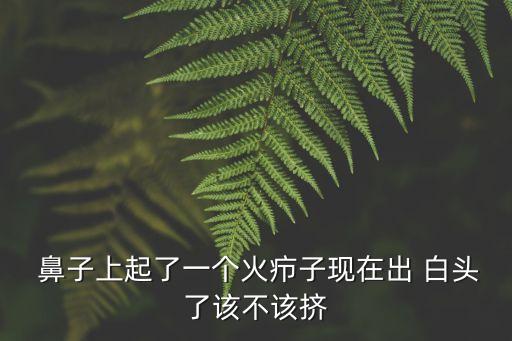 鼻子白頭,如何清除鼻子上的黑頭和白頭?