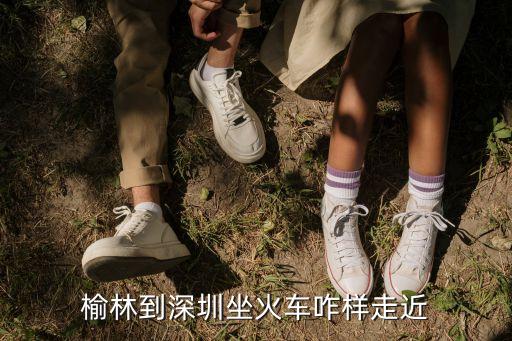 榆林到深圳的火車票價，去深圳的火車票要多少