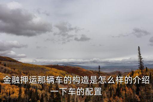 金融押運那輛車的構造是怎么樣的介紹一下車的配置