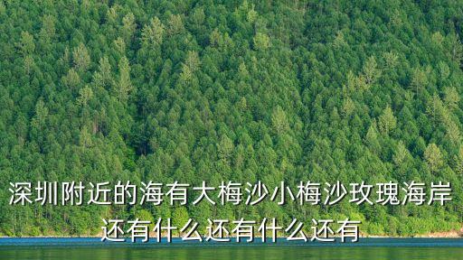 深圳附近的海有大梅沙小梅沙玫瑰海岸還有什么還有什么還有