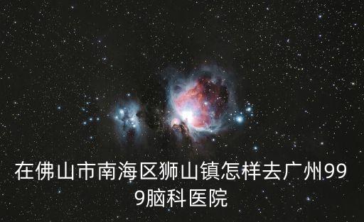 在佛山市南海區獅山鎮怎樣去廣州999腦科醫院