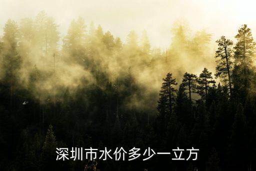 深圳店鋪水費多少錢，深圳市水費價是多少錢一噸
