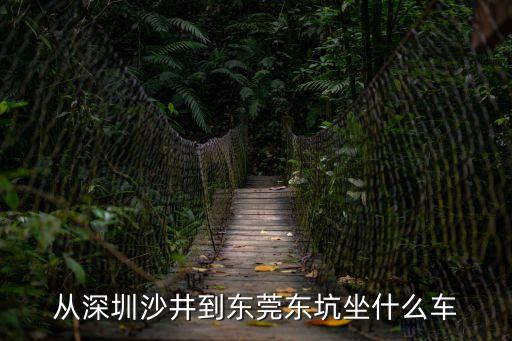 沙井汽車站到東莞東坑路口，深圳沙井中心客運站坐哪路車能到東莞東坑路口