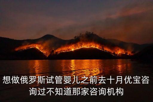 想做俄羅斯試管嬰兒之前去十月優寶咨詢過不知道那家咨詢機構
