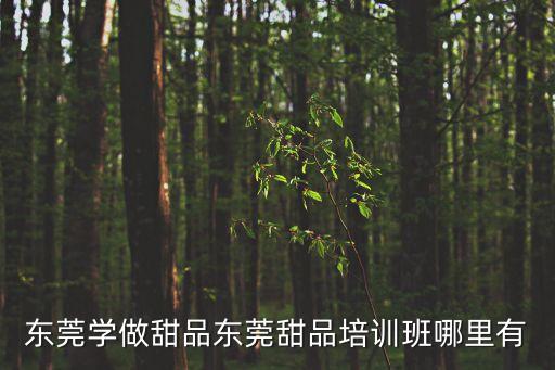 東莞學做甜品東莞甜品培訓班哪里有