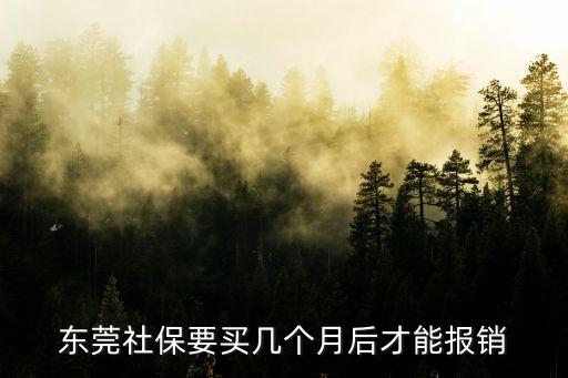 東莞社保參保之后多久可以報銷，東莞社保要買幾個月后才能報銷