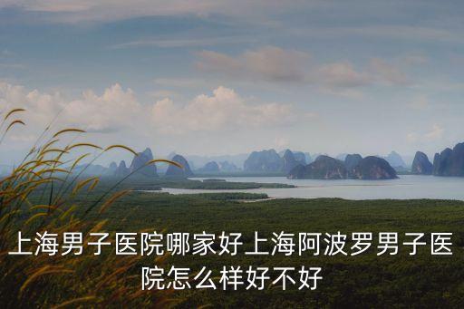 上海男子醫院哪家好上海阿波羅男子醫院怎么樣好不好