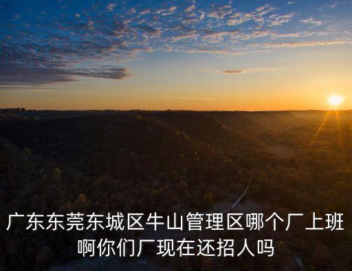 廣東東莞東城區牛山管理區哪個廠上班啊你們廠現在還招人嗎