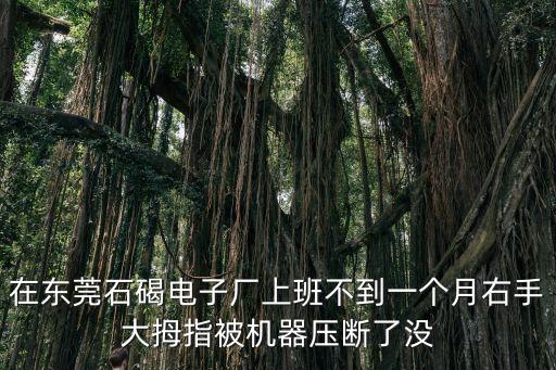 在東莞石碣電子廠上班不到一個月右手大拇指被機器壓斷了沒