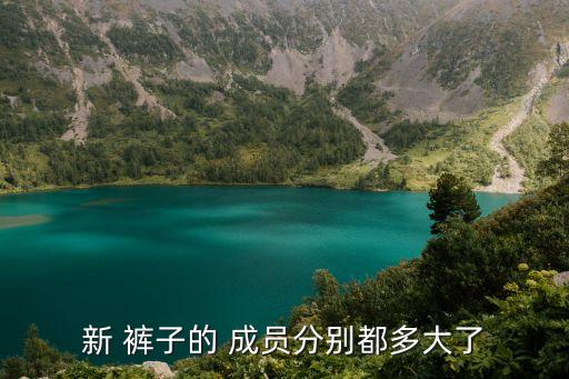 新褲子樂隊成員,新褲子樂隊怎么回事?