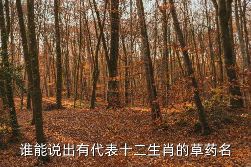 誰能說出有代表十二生肖的草藥名