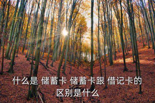 什么是 儲蓄卡 儲蓄卡跟 借記卡的區別是什么