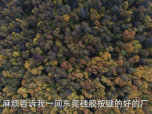 麻煩告訴我一間東莞硅膠按鍵的好的廠