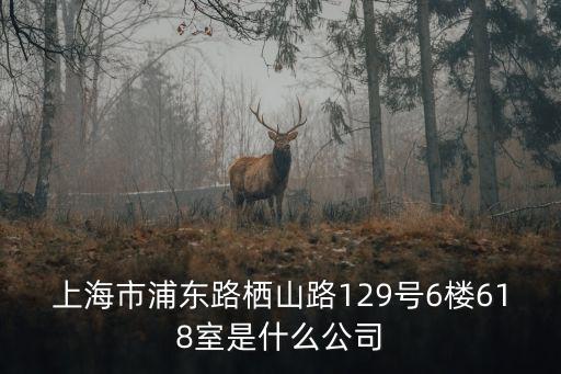 上海市浦東路棲山路129號6樓618室是什么公司