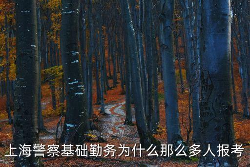 上海市基礎(chǔ)勤務(wù)工作怎么樣，去上海工作好不好