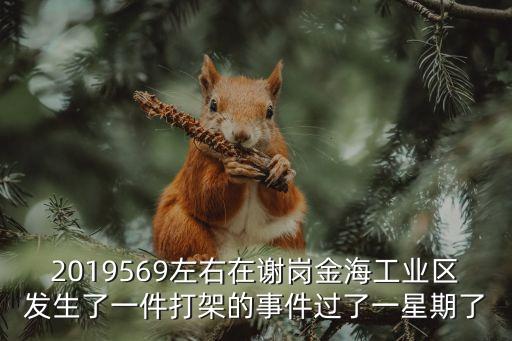 2019569左右在謝崗金海工業區發生了一件打架的事件過了一星期了