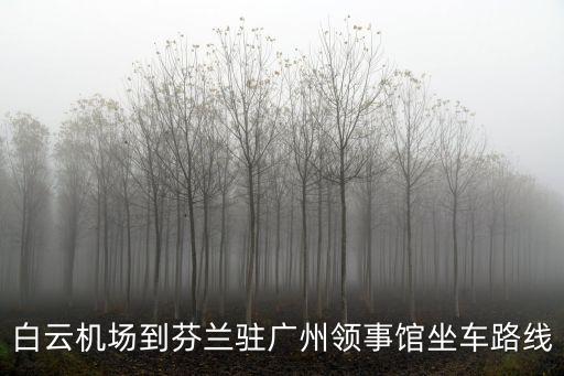 芬蘭駐廣州總領事館酒店，芬蘭駐廣州大使館