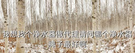 我想找個凈水器做代理請問哪個凈水器牌子最好啊