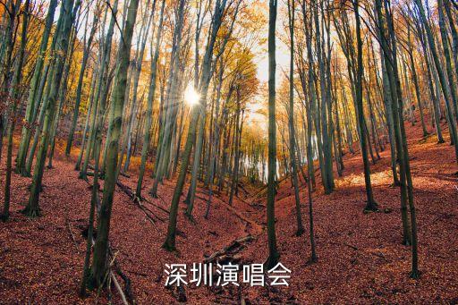 深圳演唱會