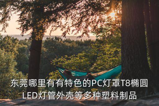 東莞日星塑料制品廠有哪些，東莞有哪些比較專業軟膠pvc制品廠 專業而且品質好的工廠