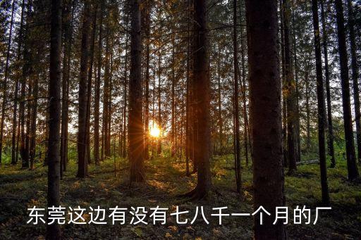 東莞這邊有沒有七八千一個月的廠