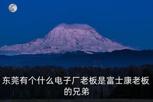 東莞有個(gè)什么電子廠老板是富士康老板的兄弟