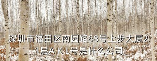 深圳市福田區南園路68號上步大廈21層A K L號是什么公司