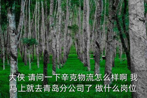 大俠 請問一下辛克物流怎么樣啊 我馬上就去青島分公司了 做什么崗位