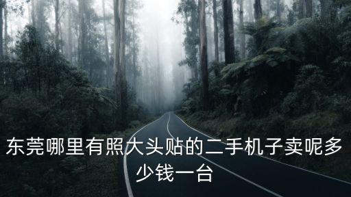 東莞寫真機回收多少錢一臺，誰可以告訴我現在寫真機多少錢一臺