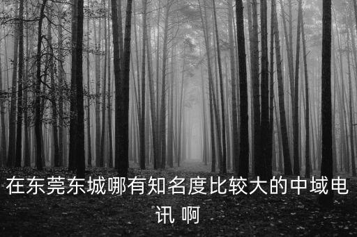 在東莞東城哪有知名度比較大的中域電訊 啊