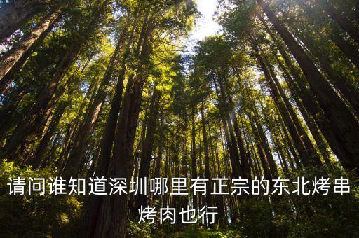 深圳哪里有東北燒烤，在深圳那里有正宗東北的烤肉店