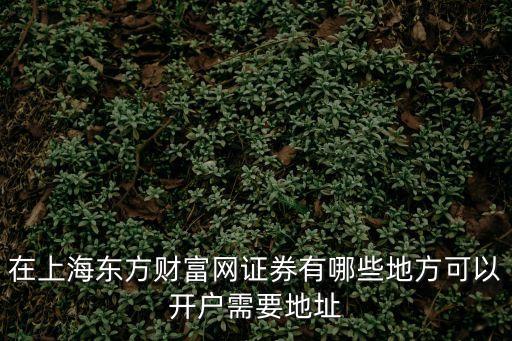 在上海東方財(cái)富網(wǎng)證券有哪些地方可以開戶需要地址