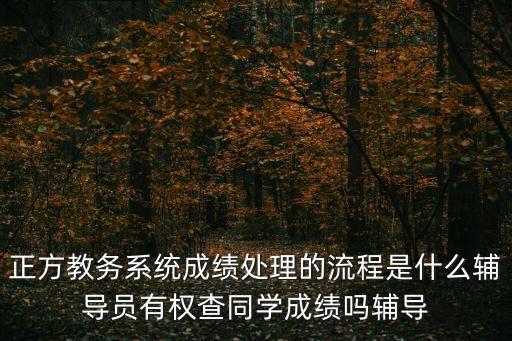 正方教務系統成績處理的流程是什么輔導員有權查同學成績嗎輔導
