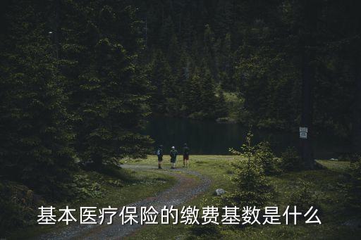 基本醫(yī)療保險(xiǎn)的繳費(fèi)基數(shù)是什么