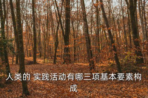 人類的 實踐活動有哪三項基本要素構成