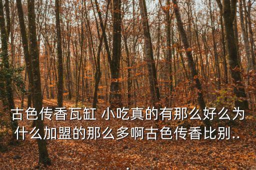 古色傳香瓦缸 小吃真的有那么好么為什么加盟的那么多啊古色傳香比別...
