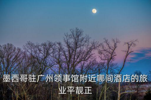 菲律賓駐廣州使館附近旅館，要到越南駐廣州大使館辦理簽證需要住一個晚上那附近有什么酒店啊